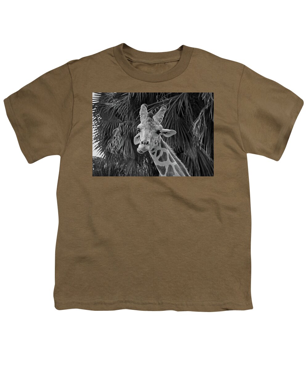 Giraffe Youth T-Shirt featuring the photograph Take to the Sky #1 by Michiale Schneider