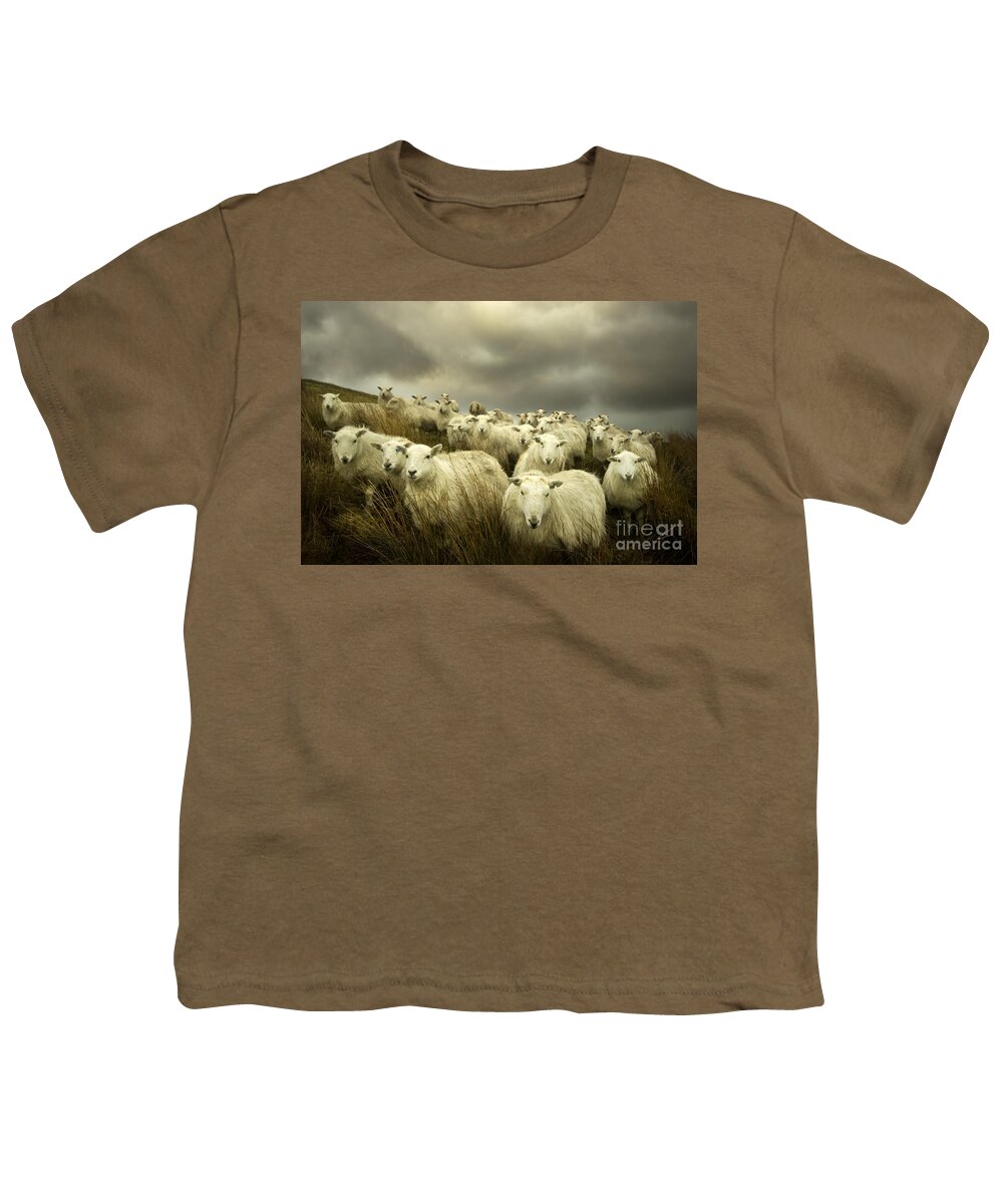 Sheep Youth T-Shirt featuring the photograph Welsh lamb #1 by Ang El