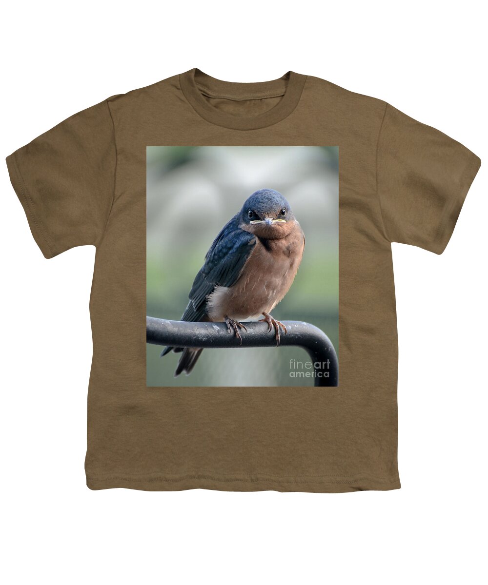 Barn Swallow Youth T-Shirt featuring the photograph What a Face by Amy Porter
