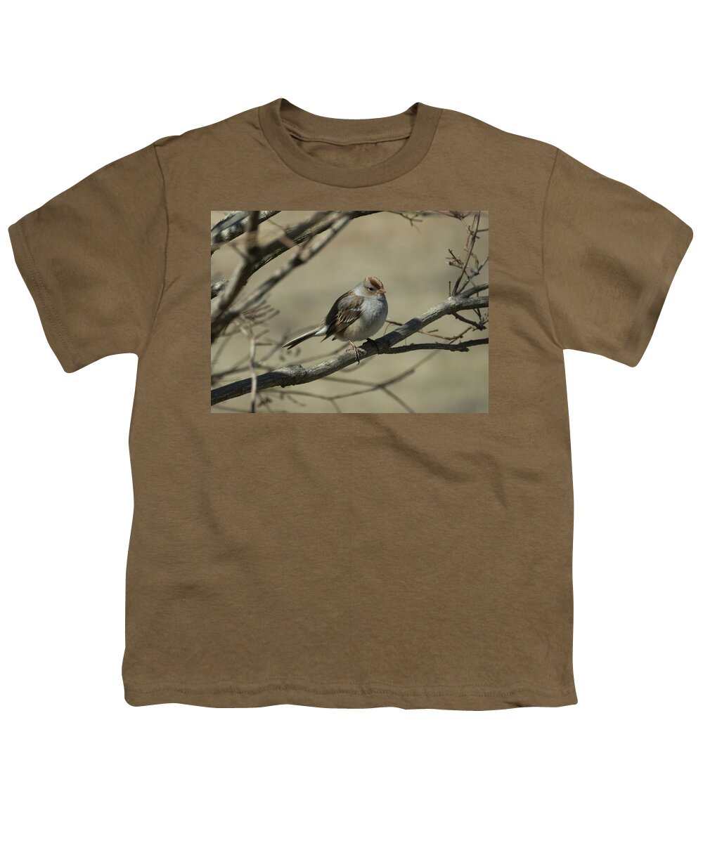 White Crowned Sparrow Youth T-Shirt featuring the photograph White-Crowned Sparrow    by Holden The Moment