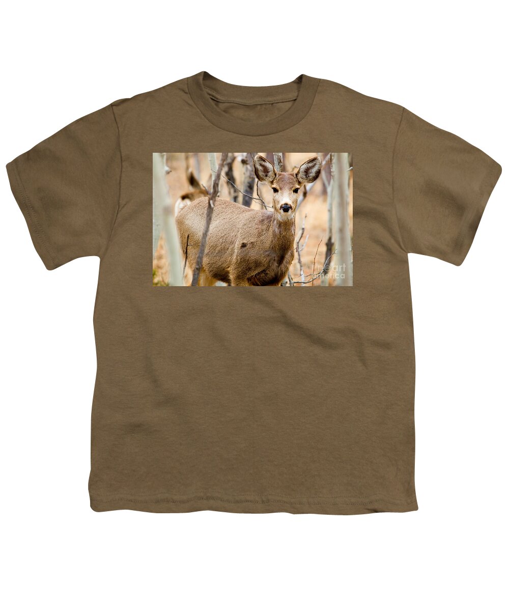Deer Youth T-Shirt featuring the photograph Mule Deer in the Pike National Forest #10 by Steven Krull