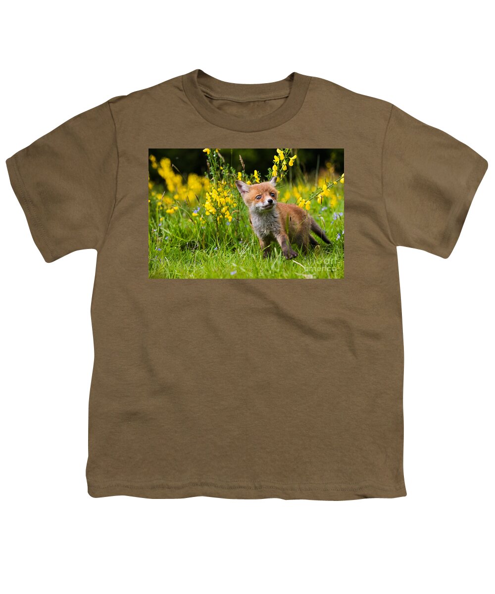 Animal Youth T-Shirt featuring the photograph Red Fox Vulpes Vulpes #12 by Gerard Lacz