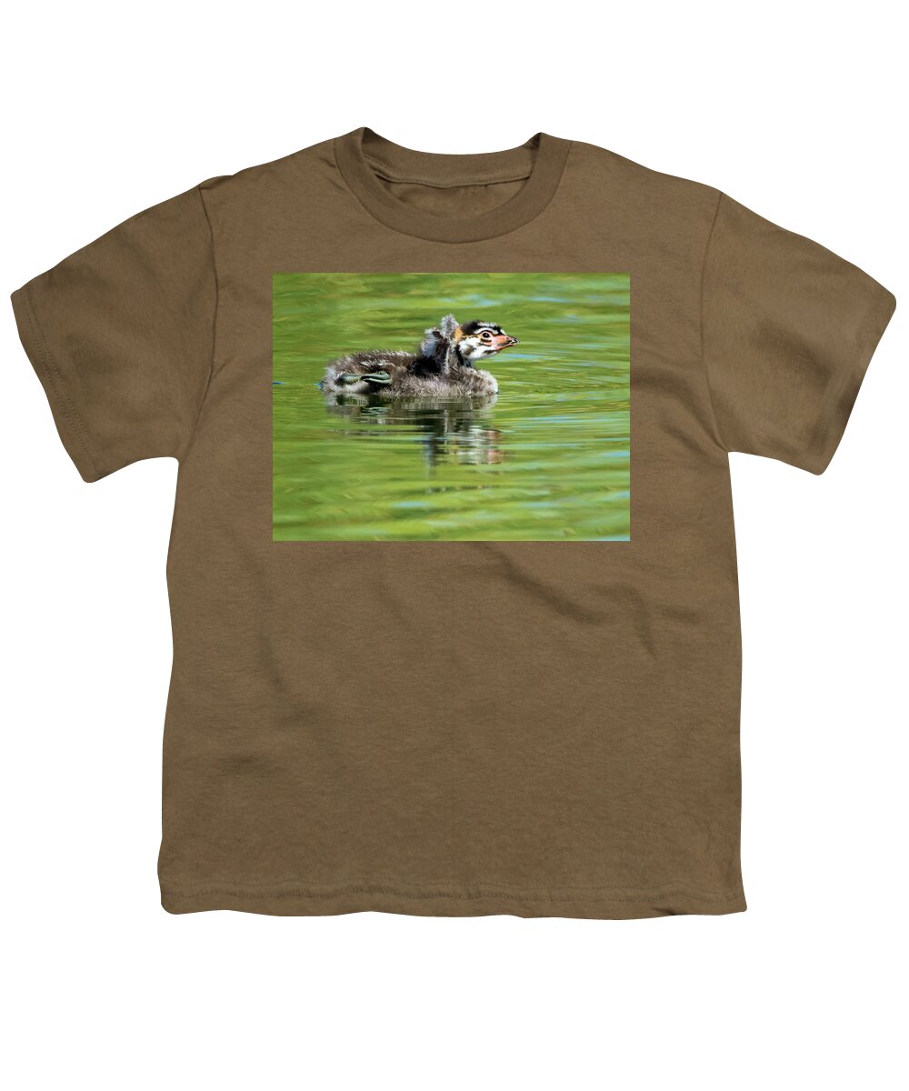 Pied-billed Grebe Youth T-Shirt featuring the photograph Pied-billed Grebe Juvenile #3 by Tam Ryan
