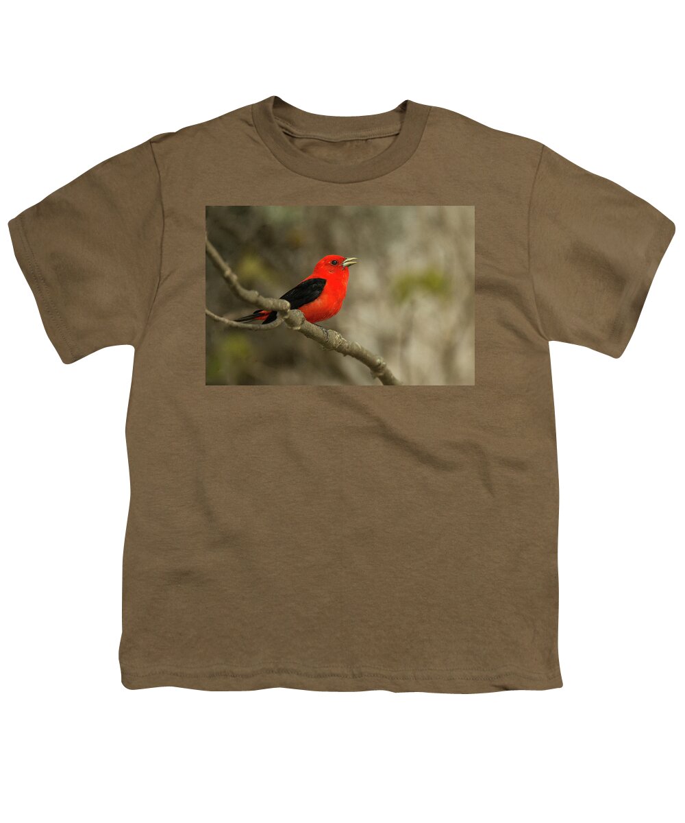 Bird Youth T-Shirt featuring the photograph Scarlet Tanager #3 by Alan Lenk