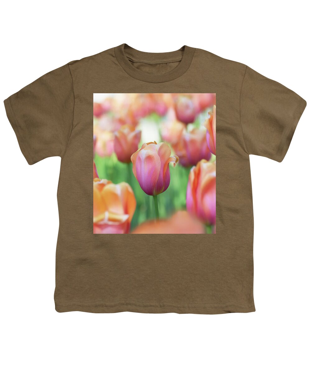 Beautiful Youth T-Shirt featuring the photograph A bed of tulips is a feast for the eyes. by Usha Peddamatham