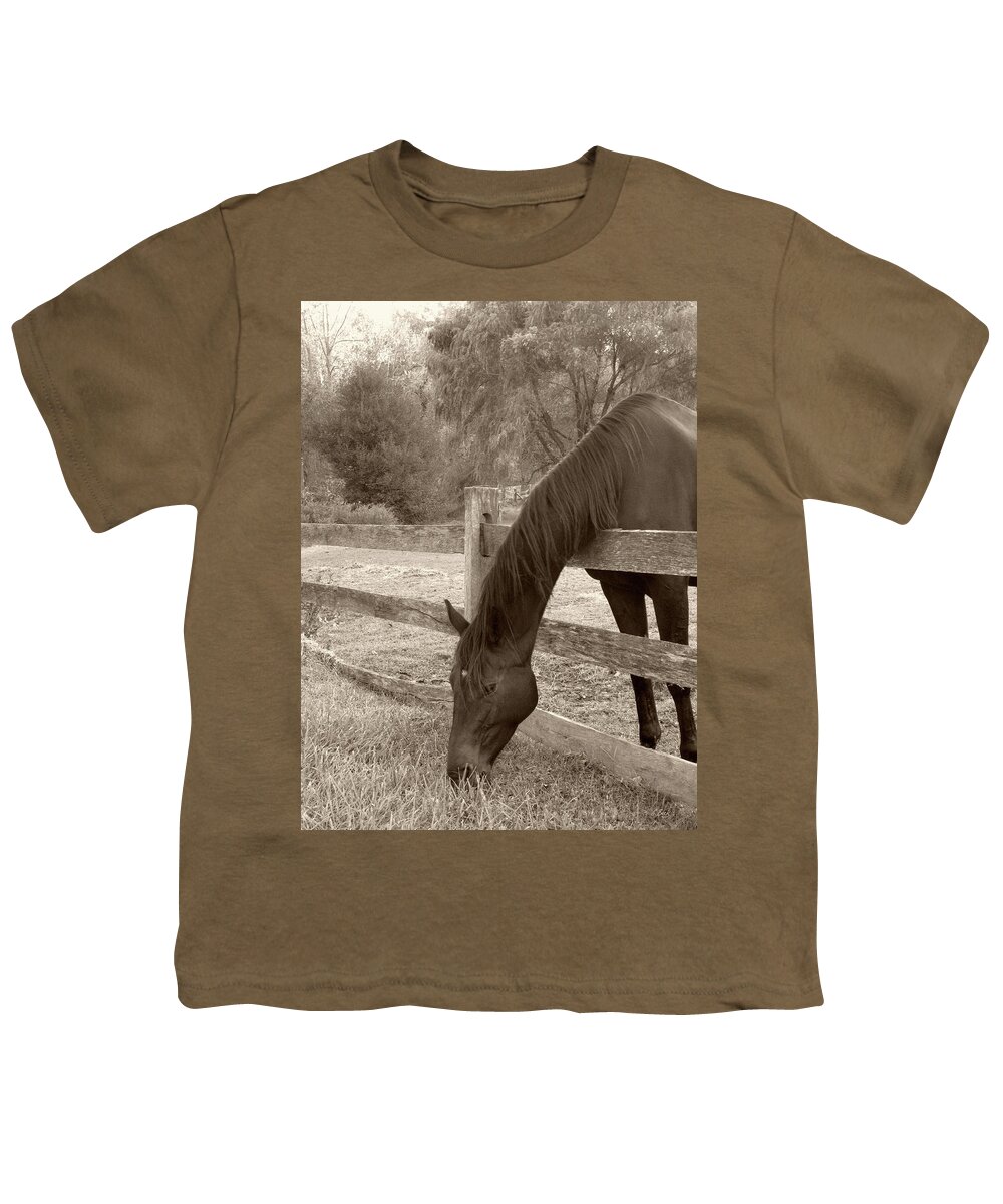 Horse Youth T-Shirt featuring the photograph A Little Stretch by Gordon Beck