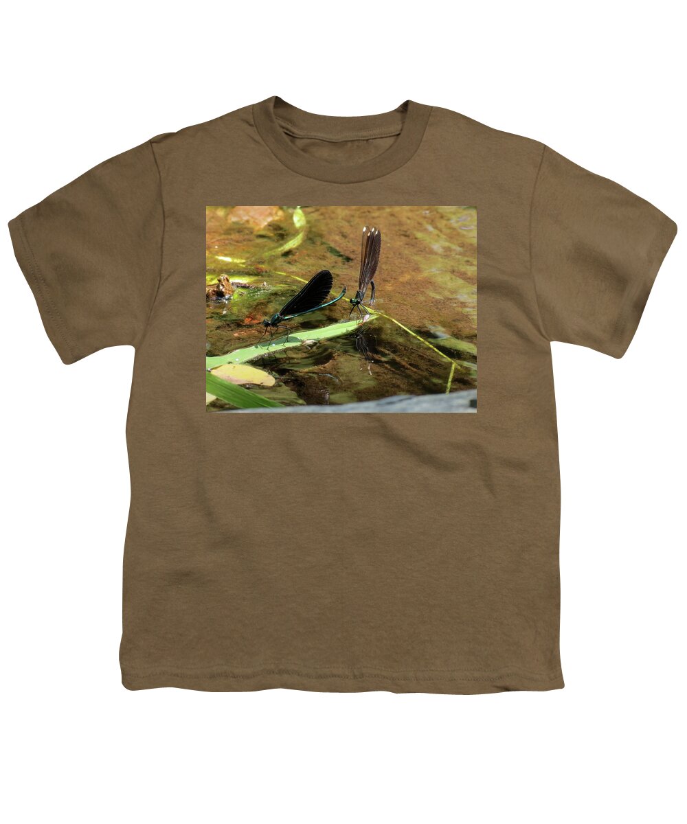 Damselfly Youth T-Shirt featuring the photograph A pair alight by Azthet Photography