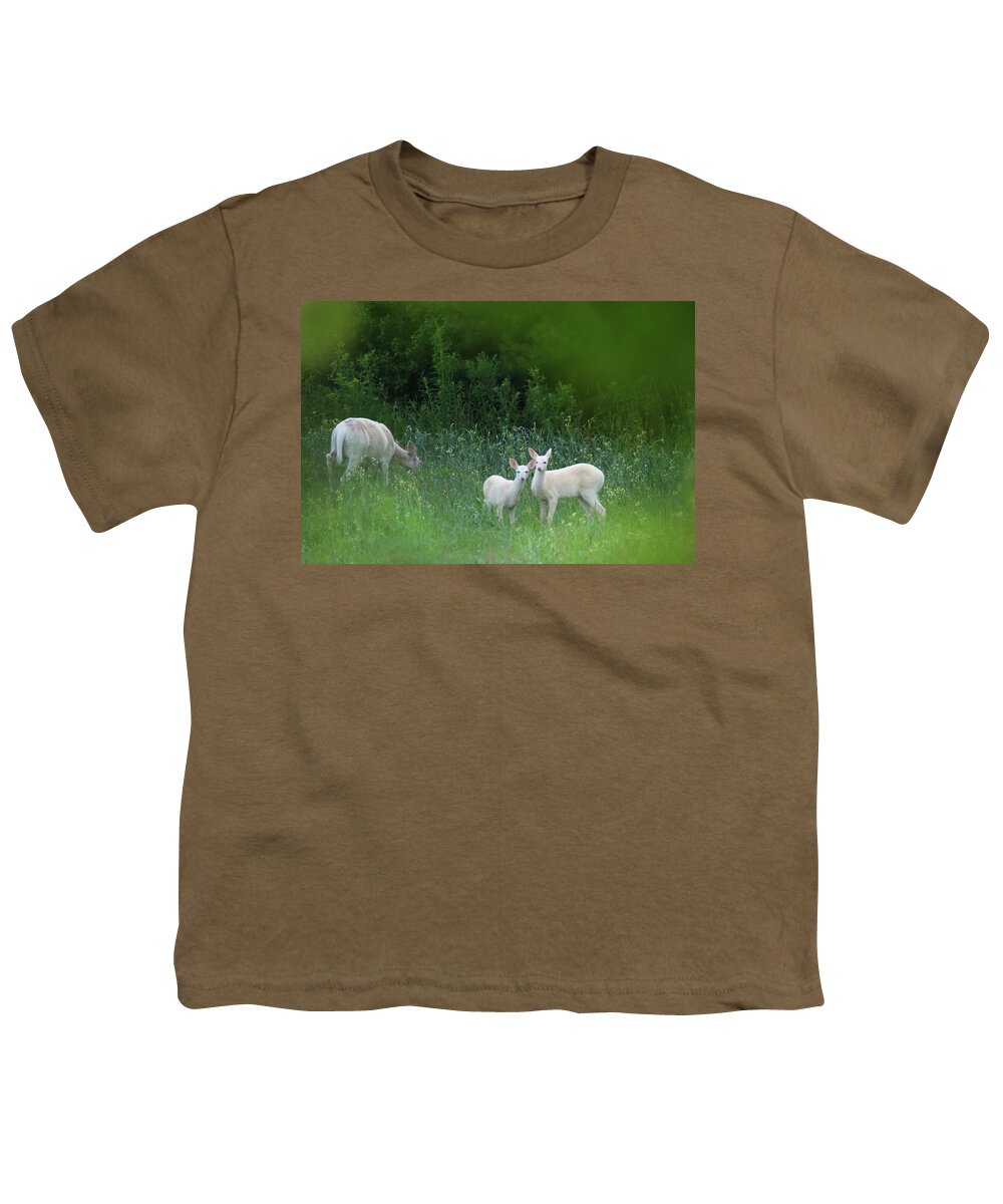 Deer Youth T-Shirt featuring the photograph A Peek Through The Brush by Brook Burling