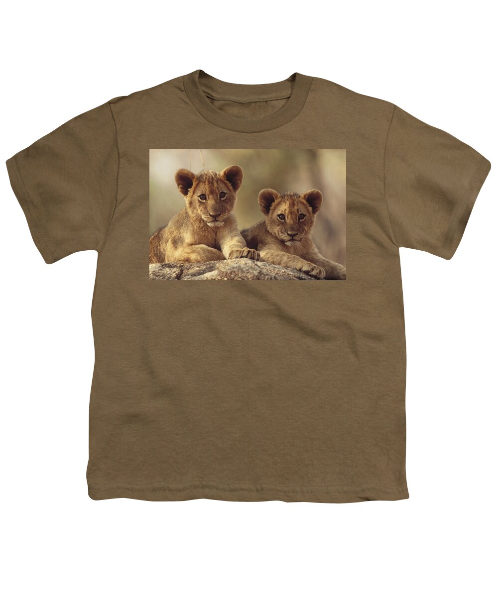 00171961 Youth T-Shirt featuring the photograph African Lion Cubs Resting On A Rock by Tim Fitzharris