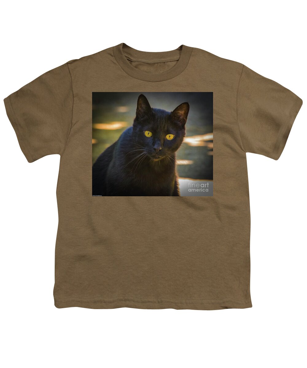 Alley Cat Youth T-Shirt featuring the photograph Alley Cat by Mitch Shindelbower