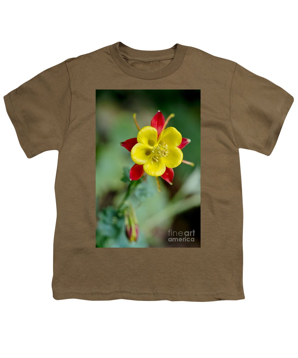 Flowers Youth T-Shirt featuring the photograph Aquilegia by Elena Perelman