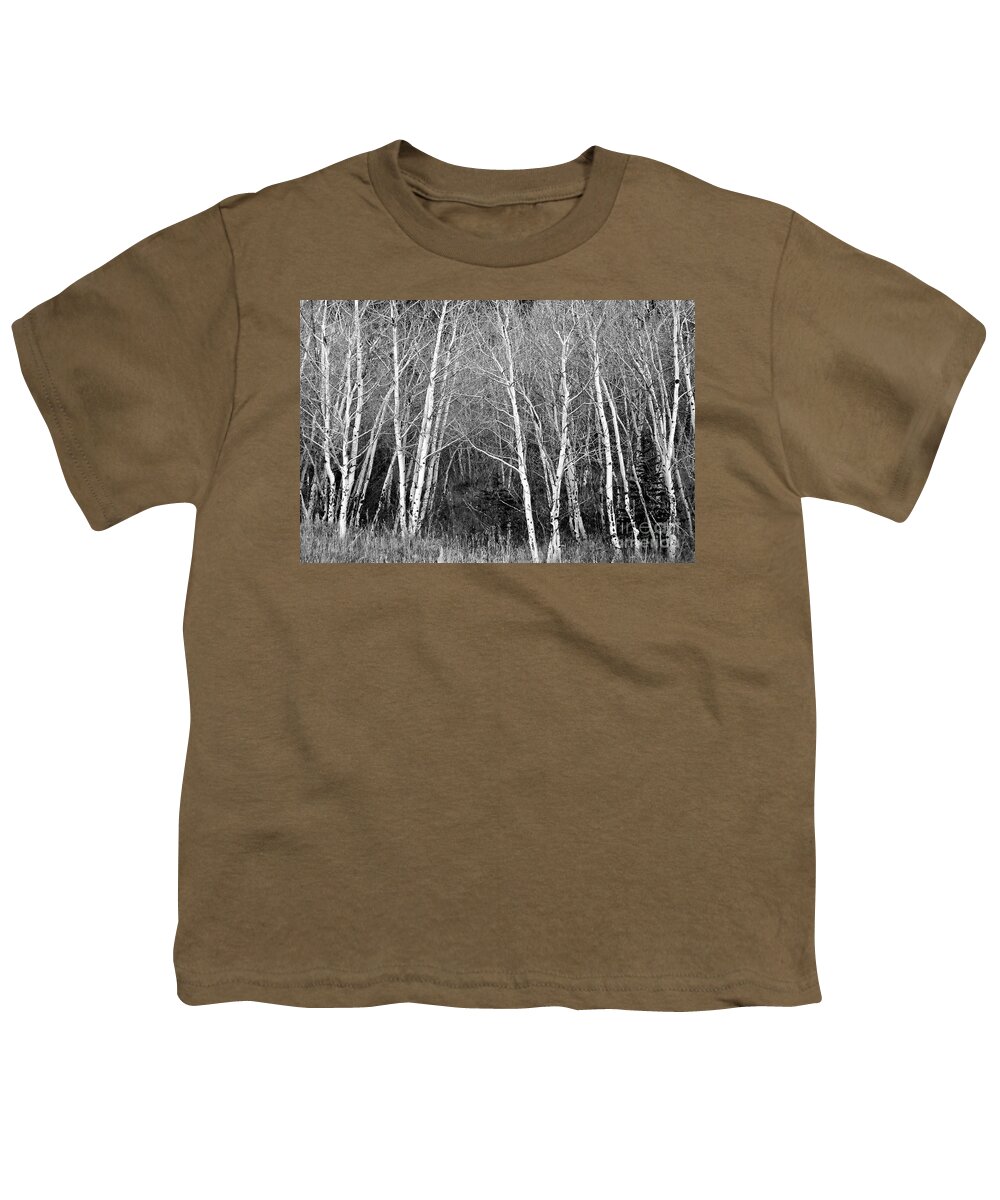Aspen Youth T-Shirt featuring the photograph Aspen Forest Black and White Print by James BO Insogna