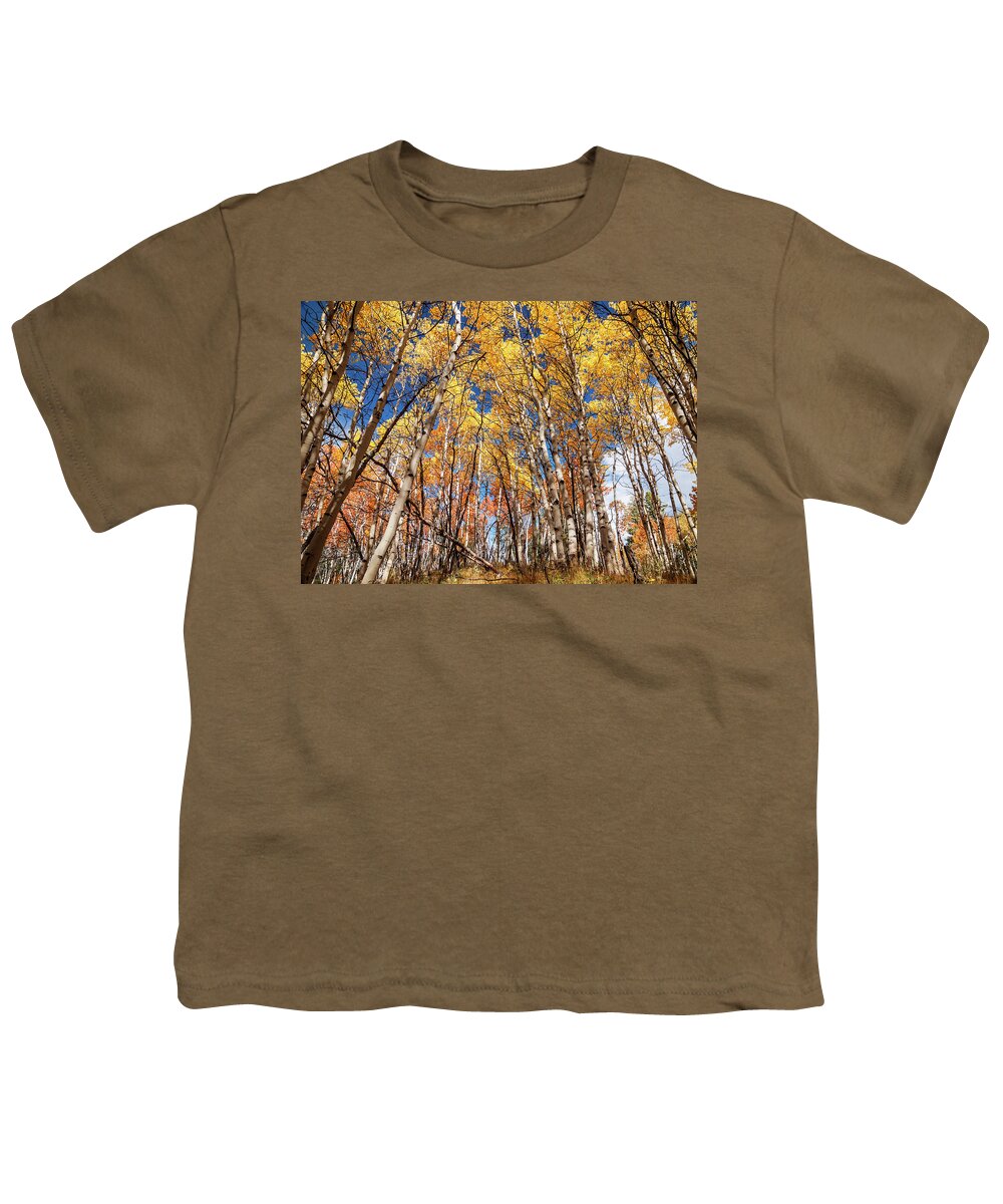 Aspen Trees Youth T-Shirt featuring the photograph Aspen grove with peak autumn color by Vishwanath Bhat