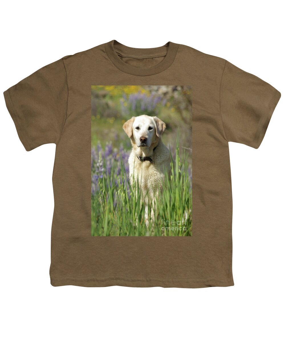 Dog Youth T-Shirt featuring the photograph At Attention by Jim And Emily Bush