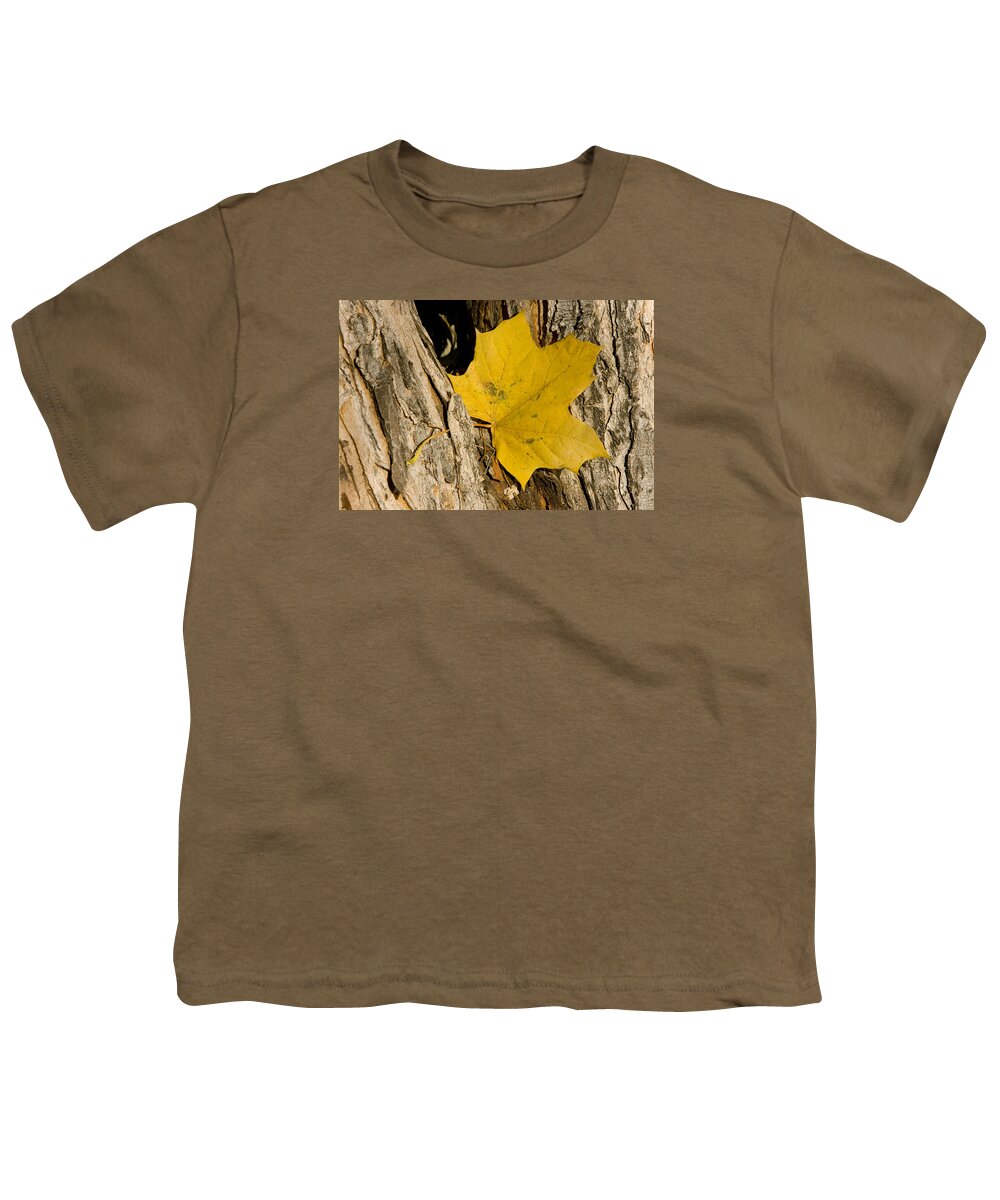 Maple Youth T-Shirt featuring the photograph Autumn Leaf by James BO Insogna