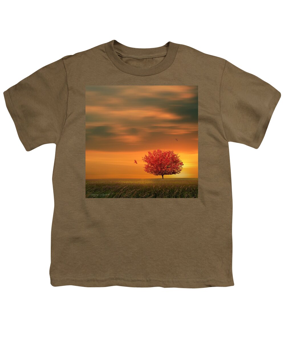 Four Seasons Youth T-Shirt featuring the photograph Autumn by Lourry Legarde