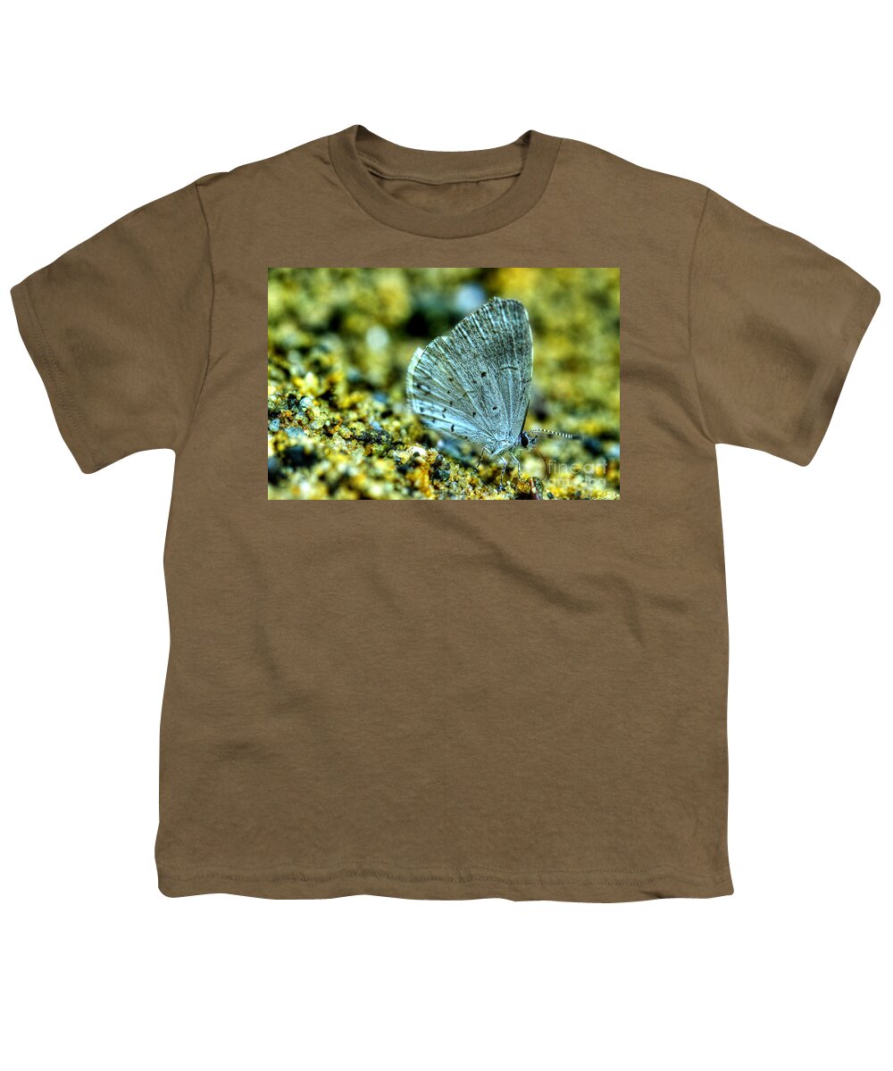 Light Blue Butterfly Youth T-Shirt featuring the photograph Azure On The Sand by Michael Eingle