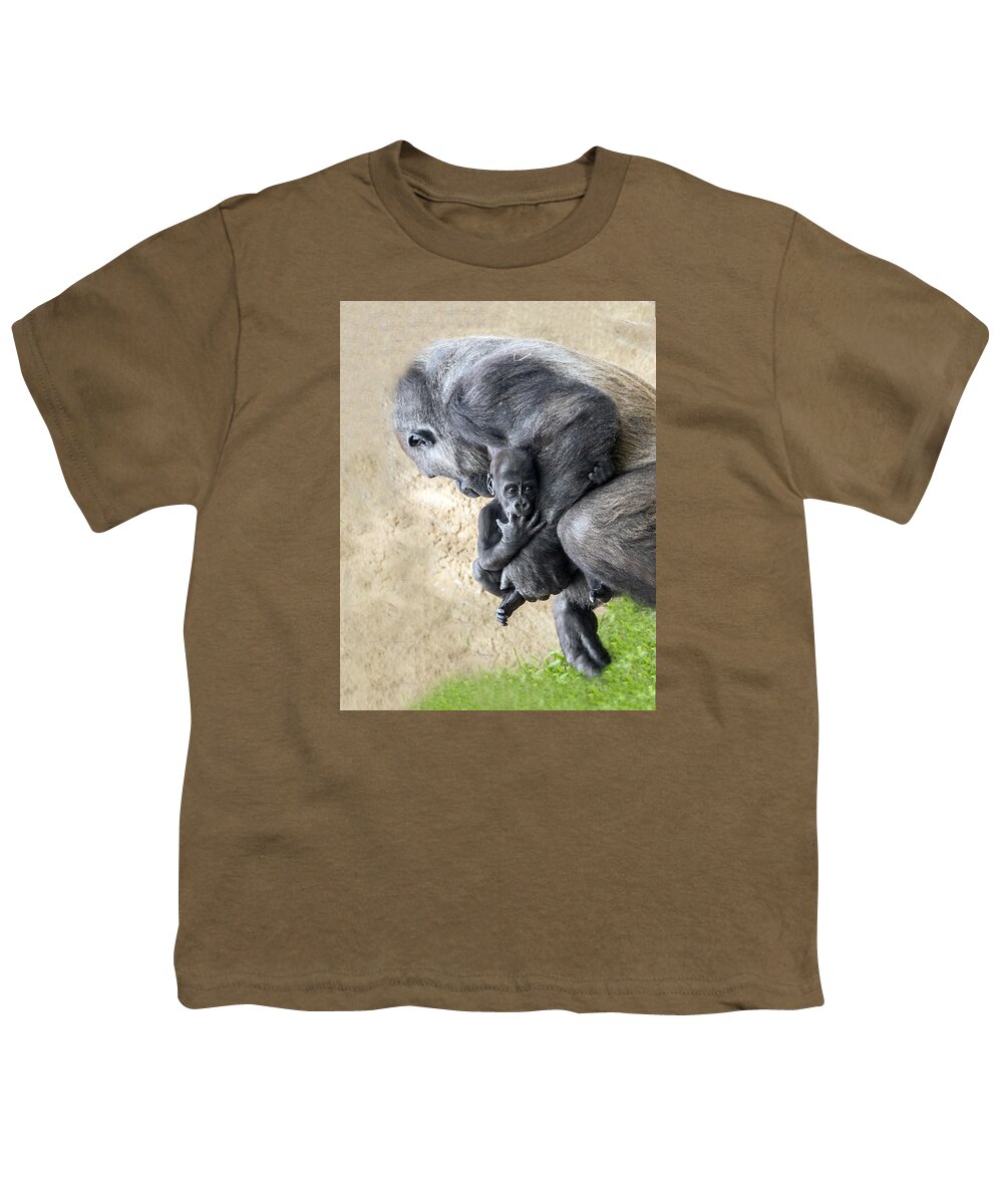 Gorilla Youth T-Shirt featuring the photograph Baby Gorilla Held By Mama by William Bitman