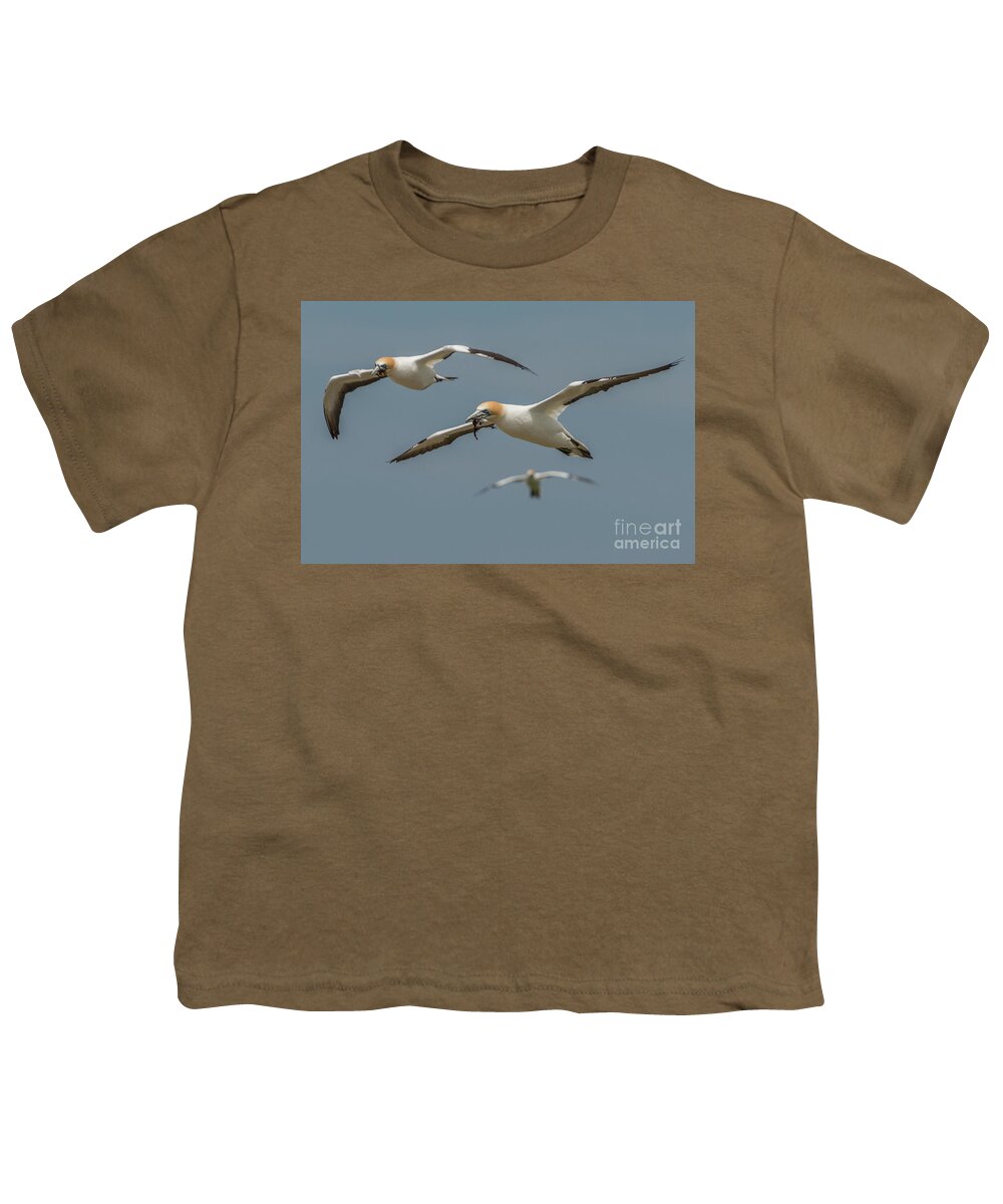 Bird Youth T-Shirt featuring the photograph Back to the Colony by Werner Padarin