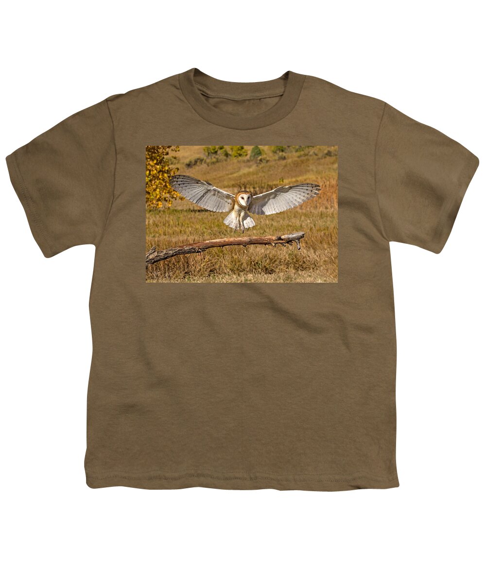 Barn Owl Youth T-Shirt featuring the photograph Barn Owl Landing by Dawn Key