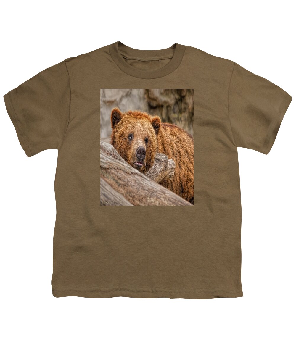 Nature Wear Youth T-Shirt featuring the photograph Bear Nature Wear by LeeAnn McLaneGoetz McLaneGoetzStudioLLCcom