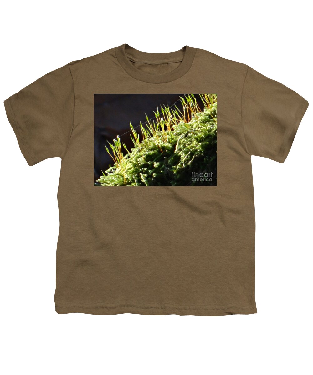 Moss Youth T-Shirt featuring the photograph Beautiful moss in sunlight by Karin Ravasio