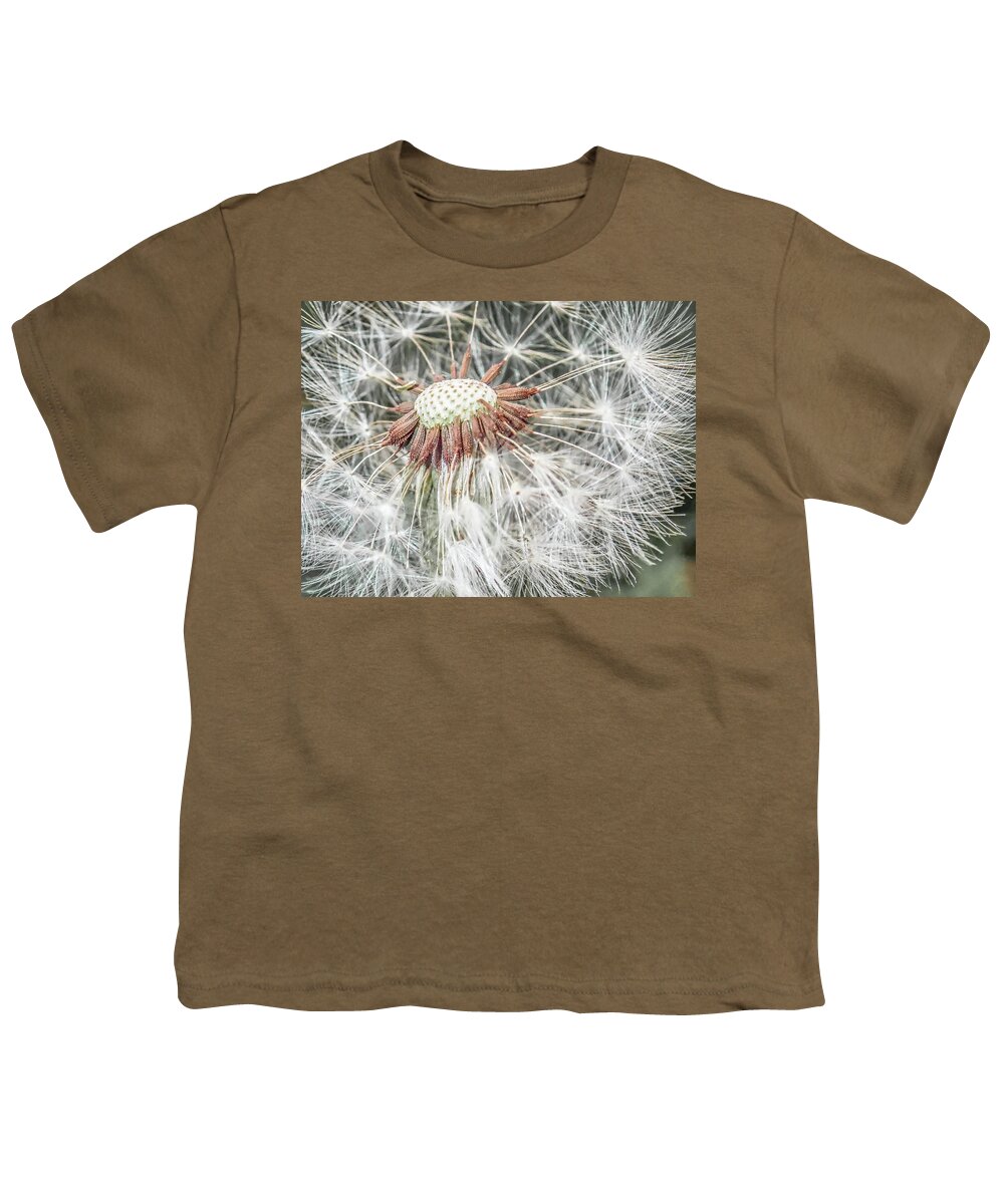 Dandelion Youth T-Shirt featuring the photograph Beauty Even if Only a Weed by Jennifer Grossnickle