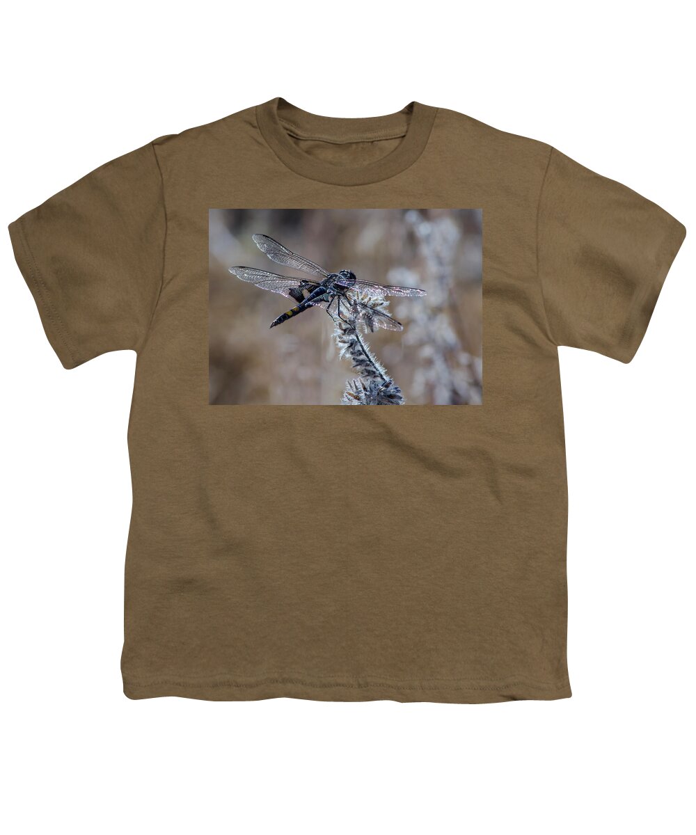 Macro Youth T-Shirt featuring the photograph Black Dragonfly 2 by Rick Mosher