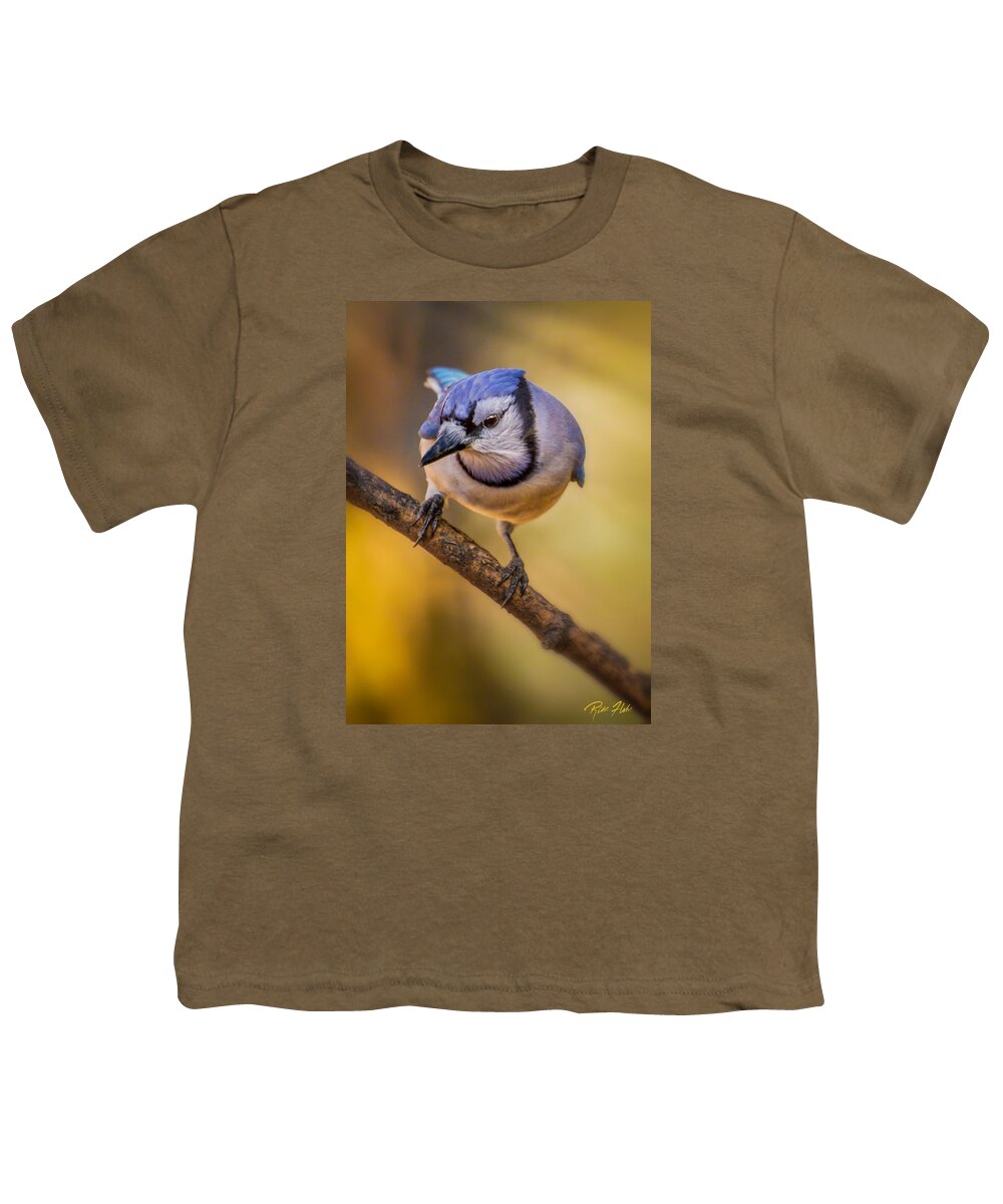Animals Youth T-Shirt featuring the photograph Blue Jay in Golden Light by Rikk Flohr