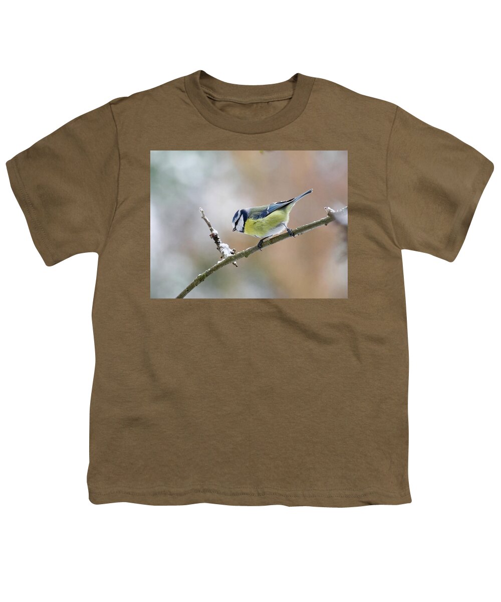 Cyanistes Caeruleus Youth T-Shirt featuring the photograph Blue Tit in pastel colors by Jouko Lehto