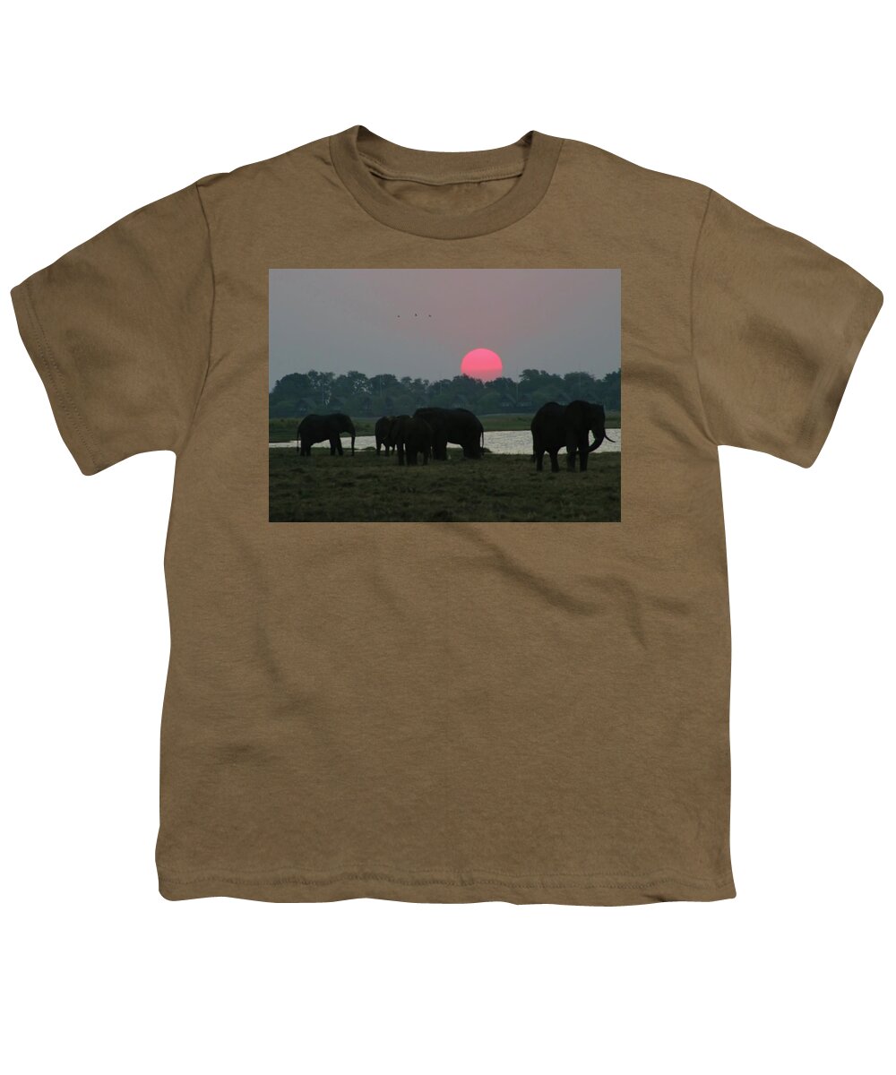 Elephants Youth T-Shirt featuring the photograph Botswana Sunset by Jennifer Wheatley Wolf