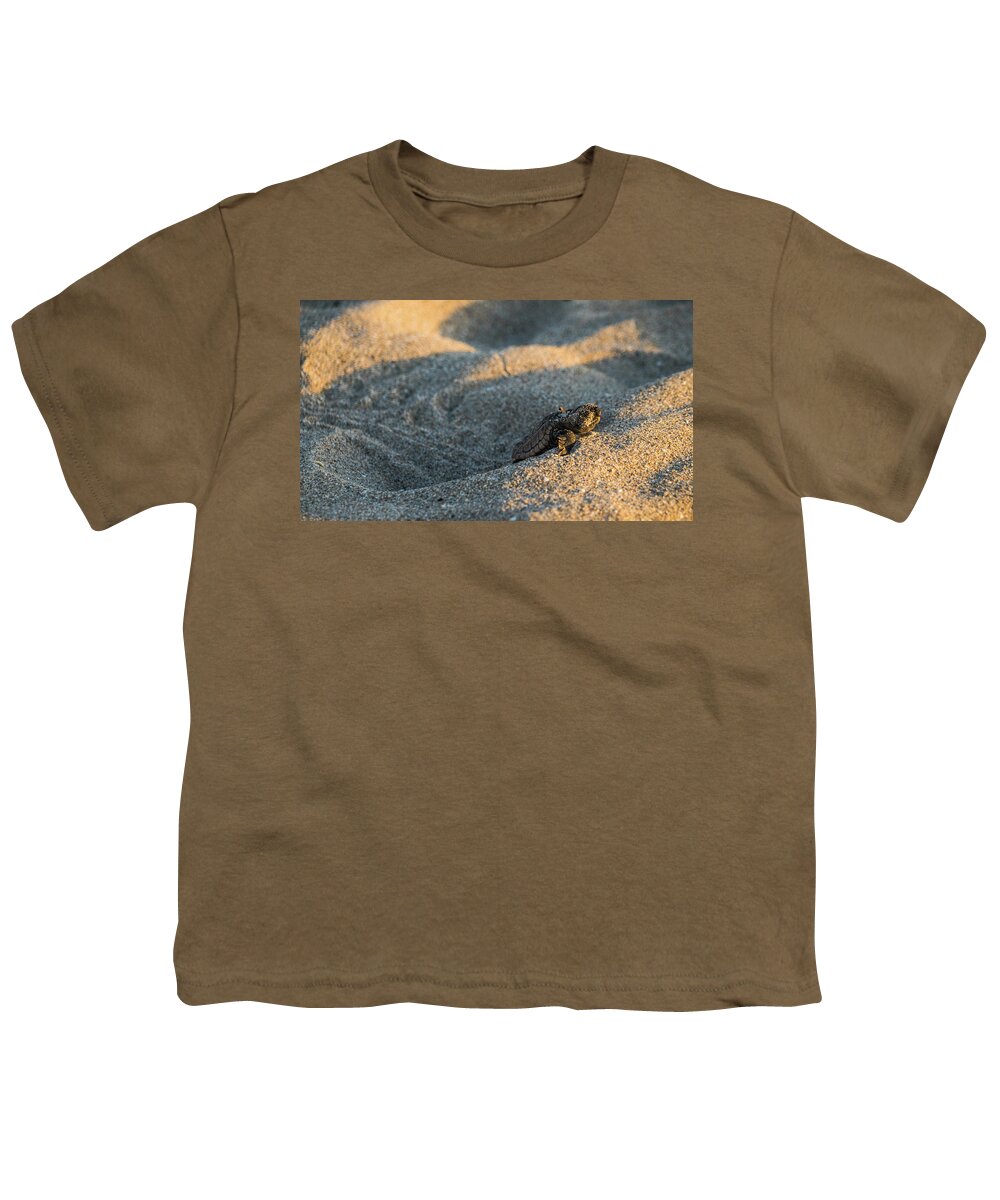 Florida Youth T-Shirt featuring the photograph Brave Beginnings Sea Turtle Hatchling Delray Beach Florida by Lawrence S Richardson Jr
