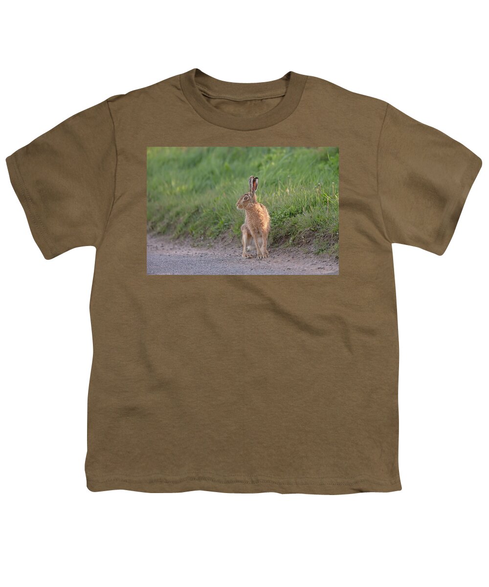 Brown Youth T-Shirt featuring the photograph Brown Hare Listening by Pete Walkden