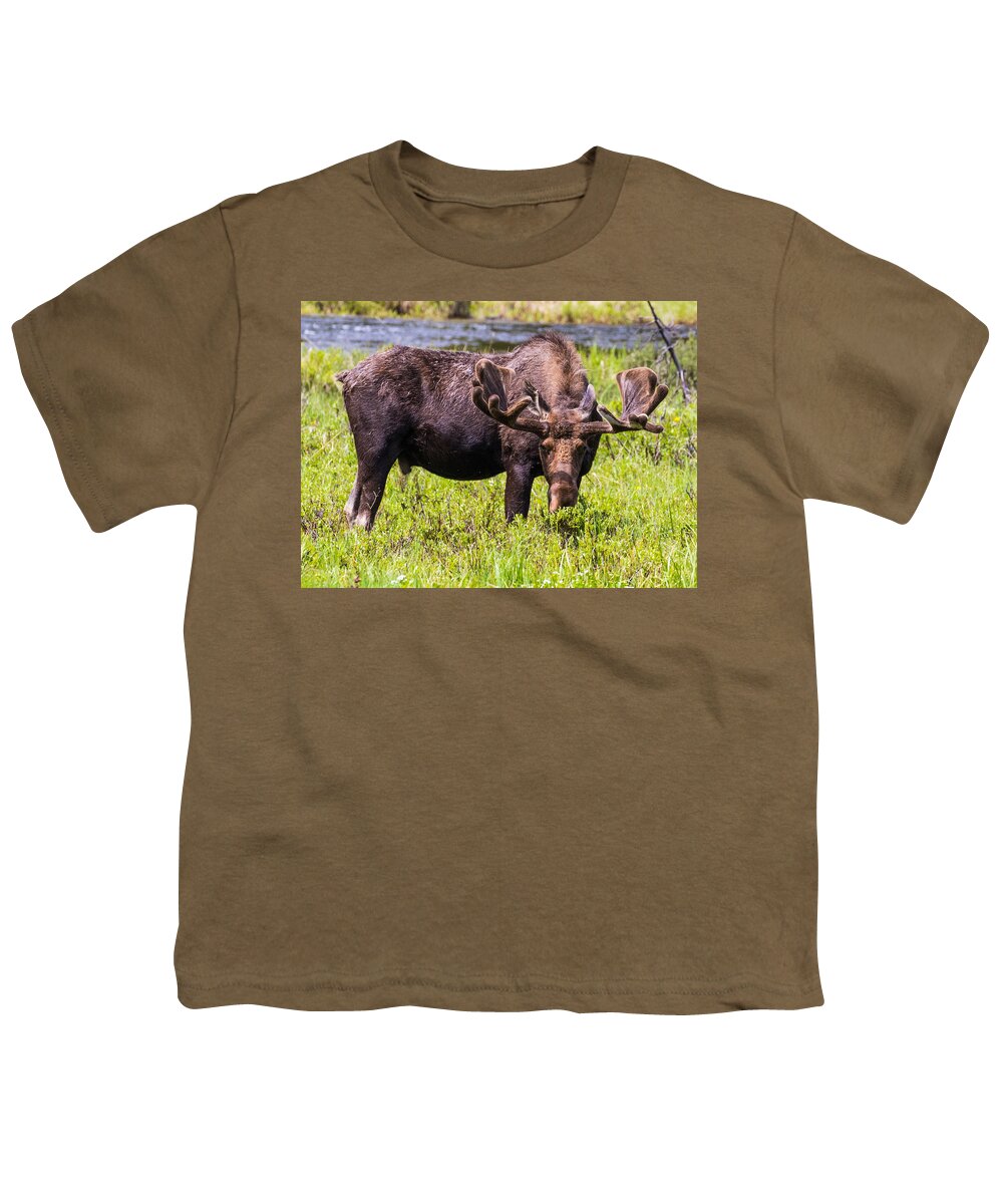 Moose Youth T-Shirt featuring the photograph Bull Moose #3 by Mindy Musick King