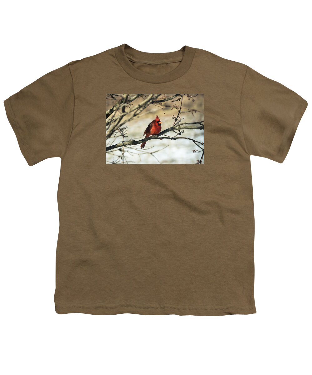 Jan Holden Youth T-Shirt featuring the photograph Cardinal  by Holden The Moment