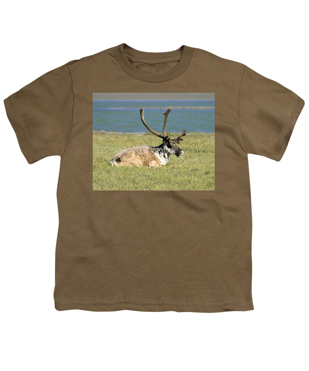 Caribou Youth T-Shirt featuring the photograph Caribou Resting by Anthony Jones