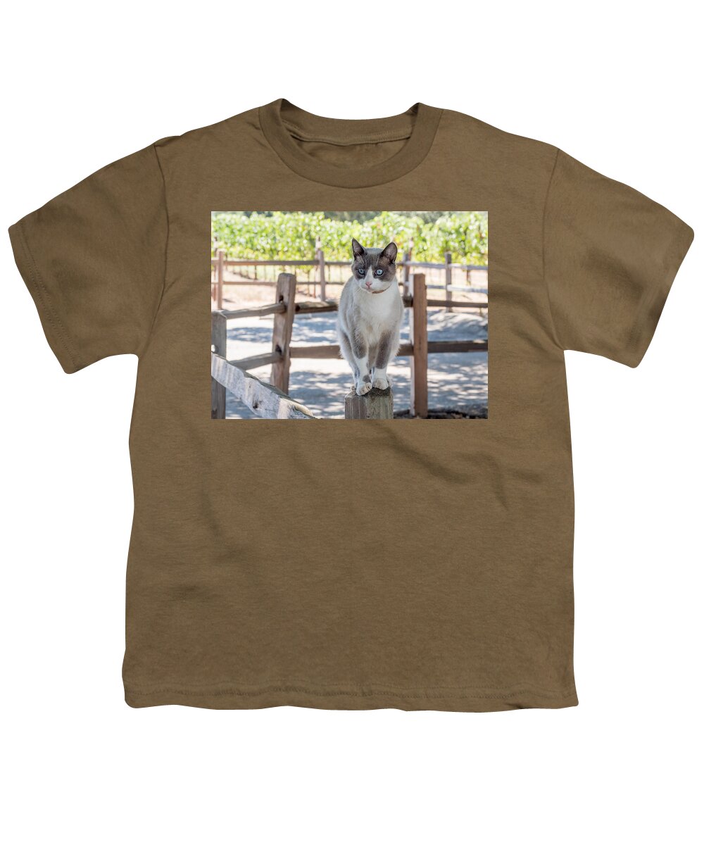 Cat Youth T-Shirt featuring the photograph Cat on a Wooden Fence Post by Derek Dean