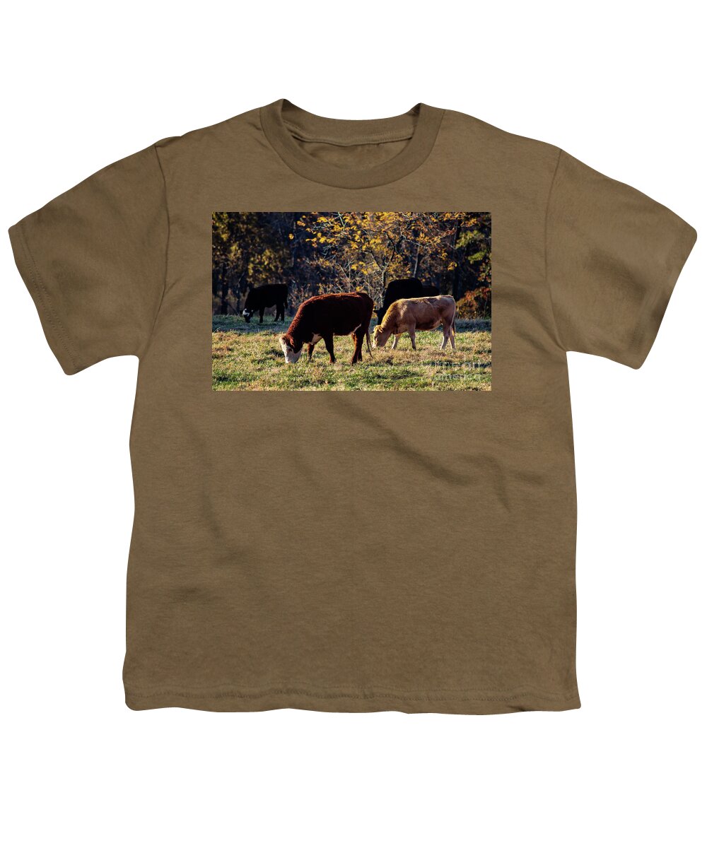 Oklahoma Youth T-Shirt featuring the photograph Cattle Grazing in Sunlight by Susan Vineyard