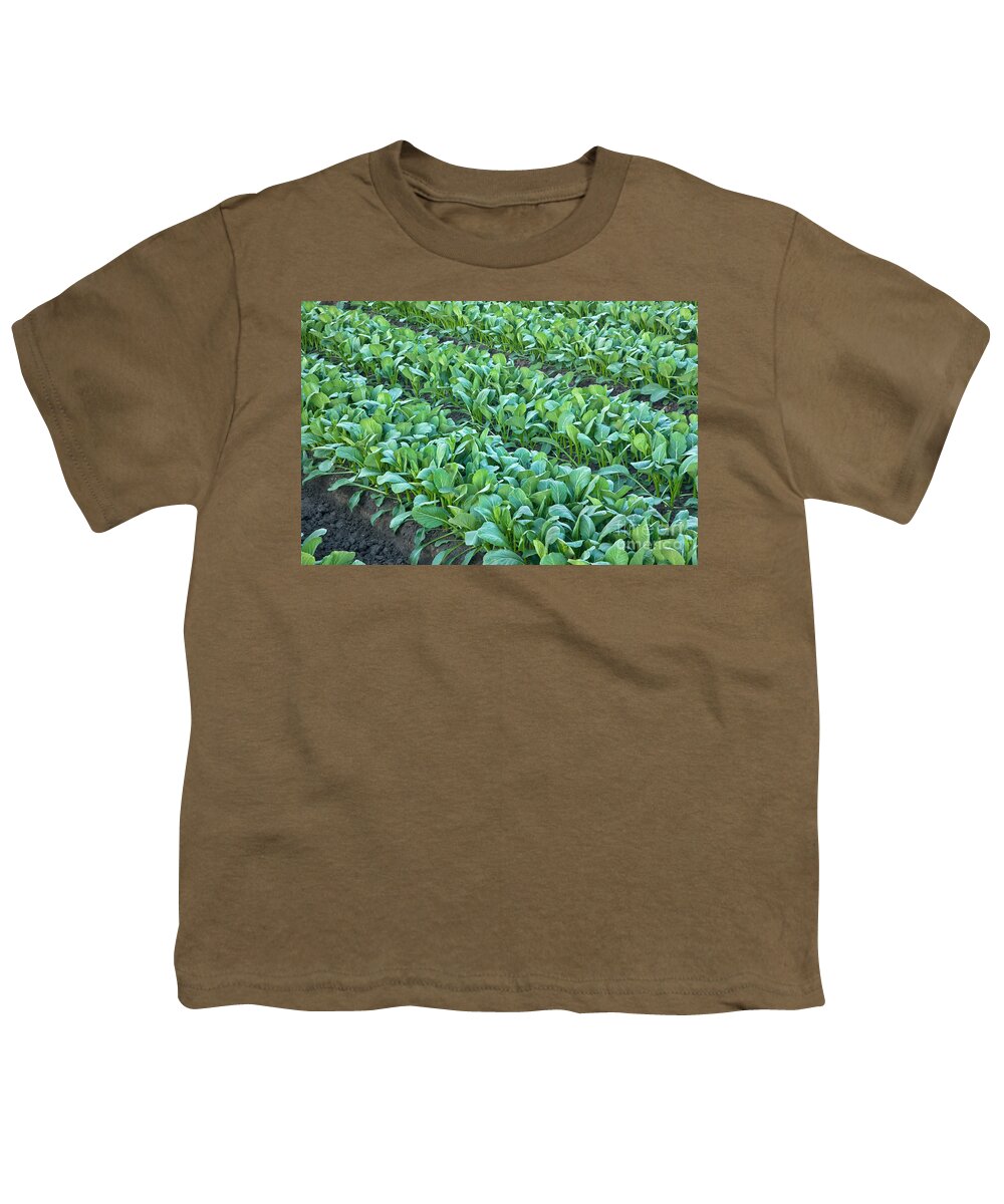 Vegetable Youth T-Shirt featuring the photograph Chinese Vegetable, Yu Choy Sum by Inga Spence