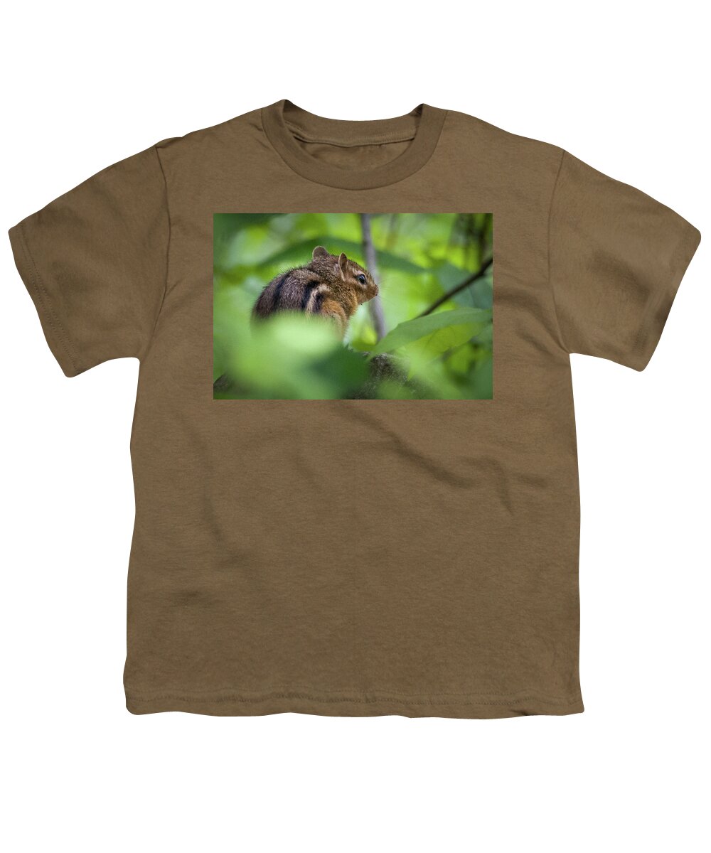 Dunbar Cave State Park Youth T-Shirt featuring the photograph Chipmunk by John Benedict