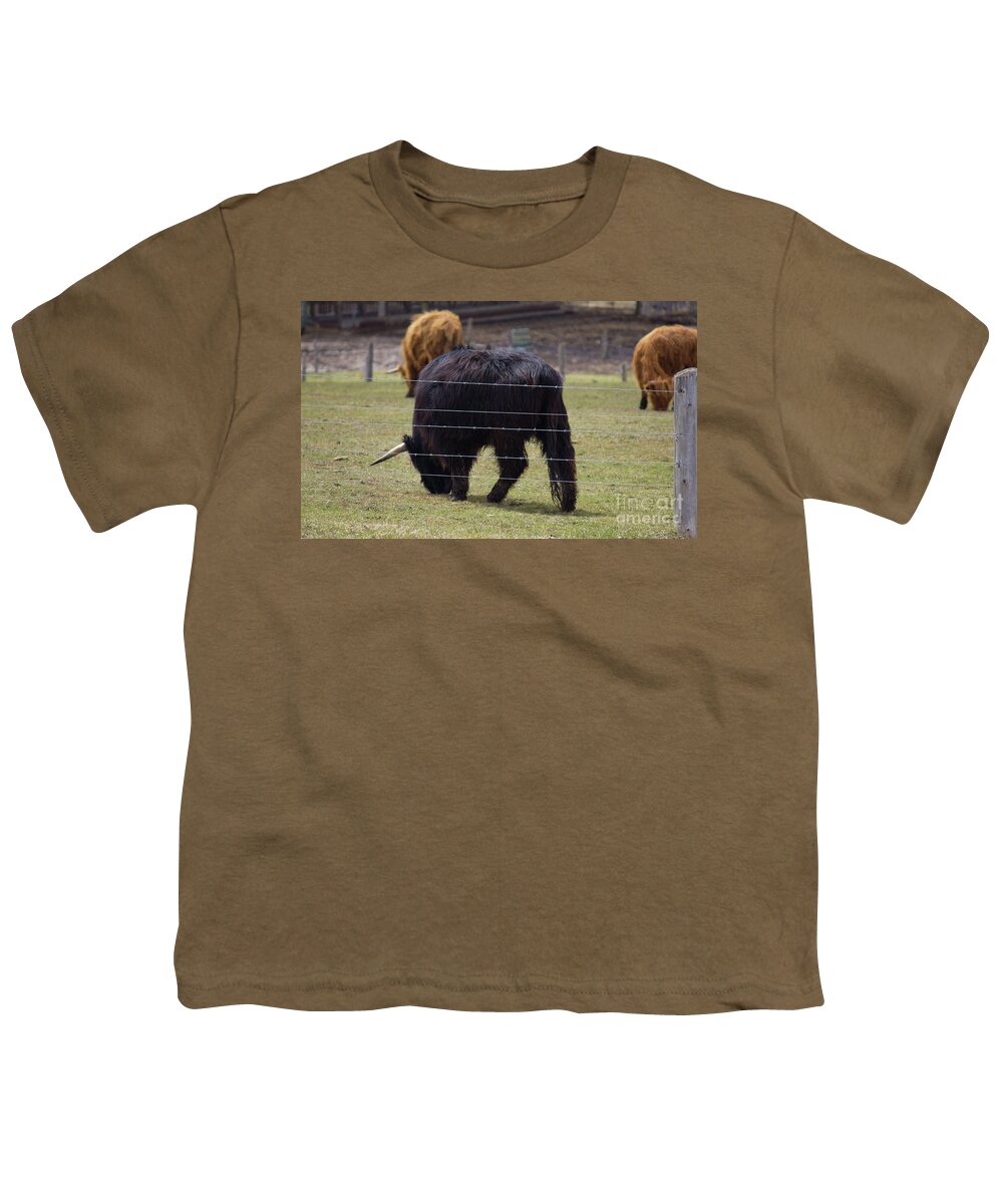 Chocolate Cow Youth T-Shirt featuring the photograph Chocolate Highland Cow in Pasture by Donna L Munro