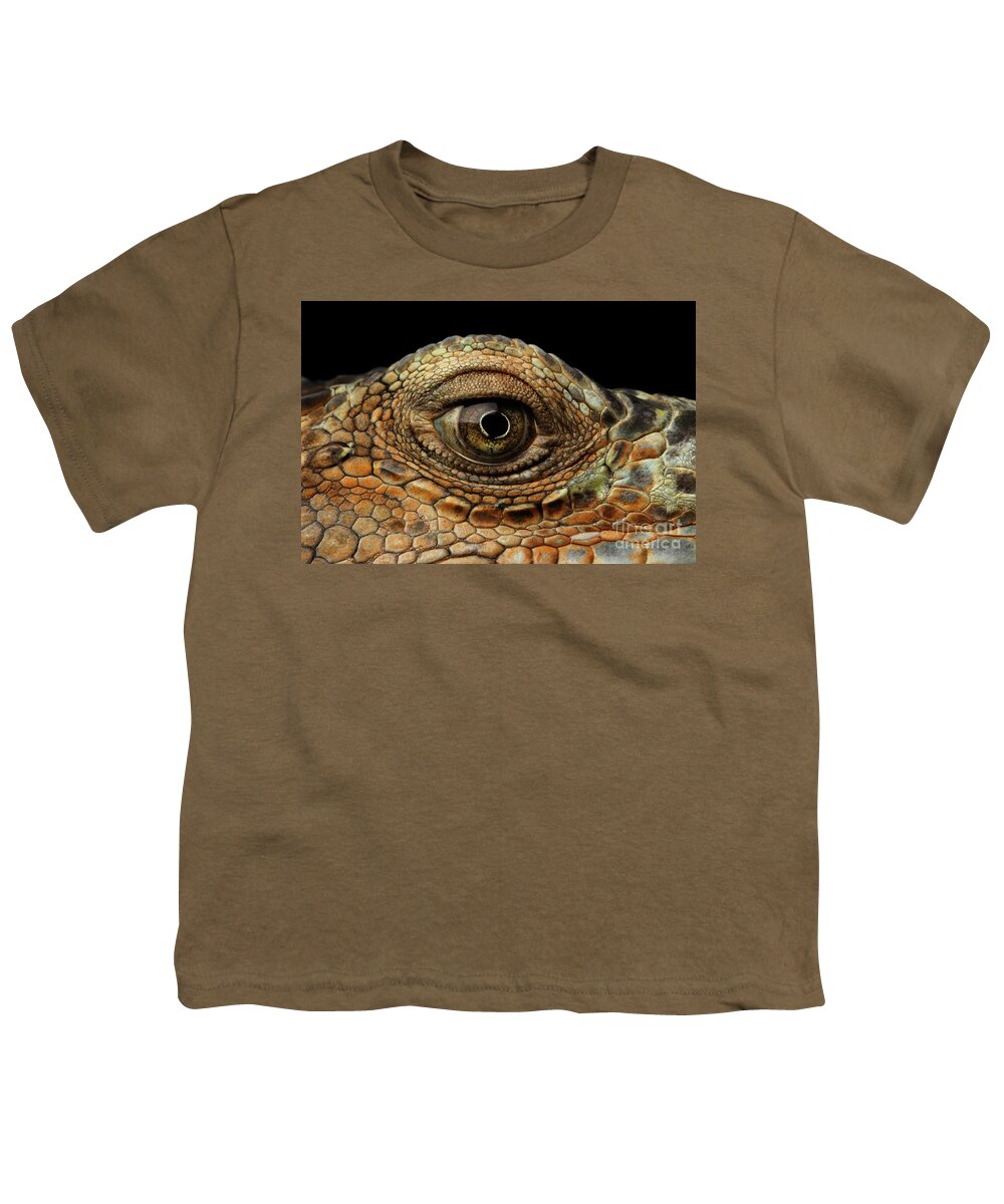 Iguana Youth T-Shirt featuring the photograph Closeup Eye of Green Iguana, Looks like a Dragon by Sergey Taran