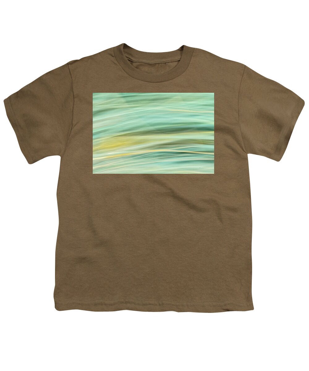 Clematis Vine Youth T-Shirt featuring the photograph Color Swipe by Tom Singleton
