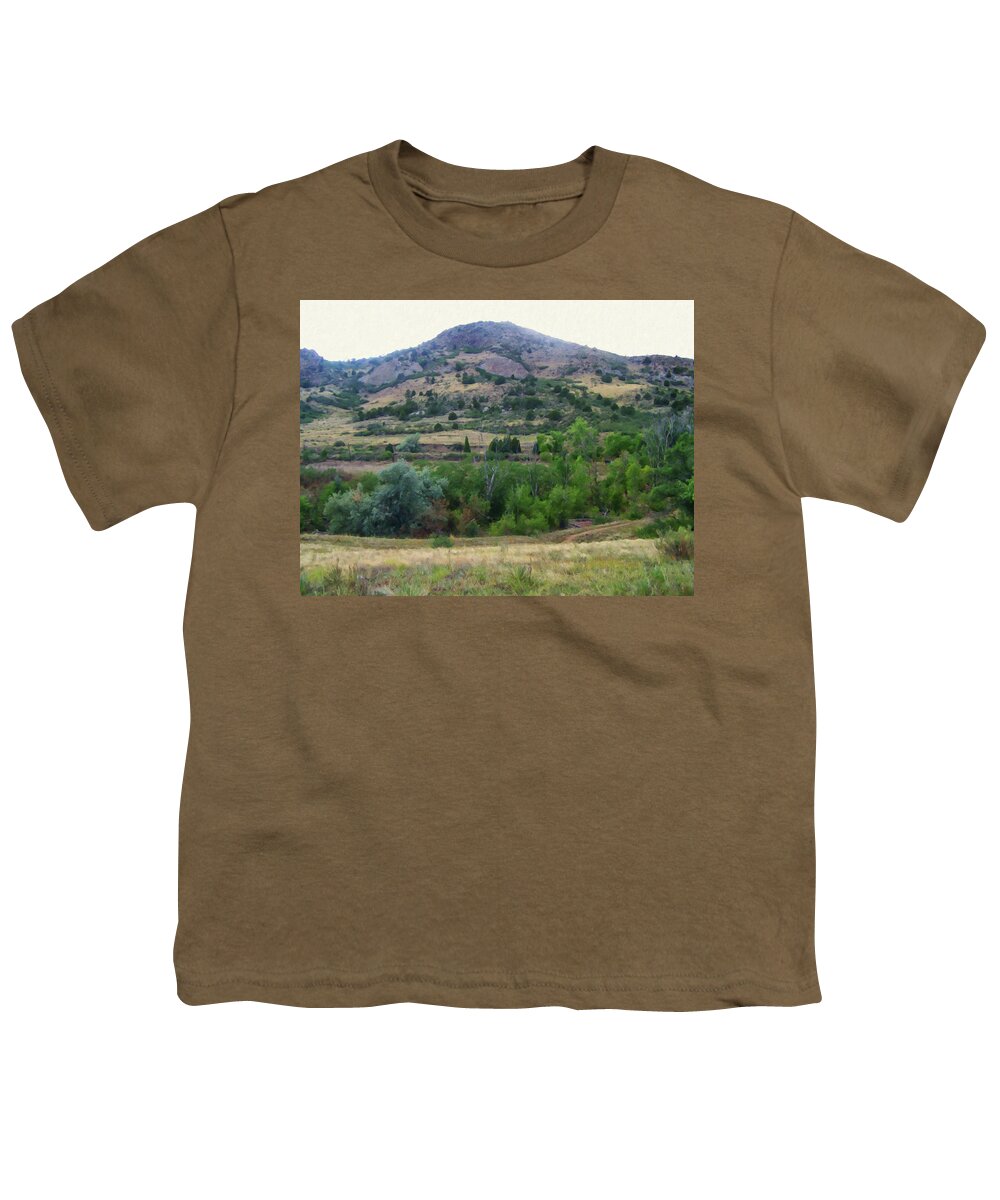 Home Decor Youth T-Shirt featuring the painting Colorado Springs area Digital Oil #46 by Flees Photos