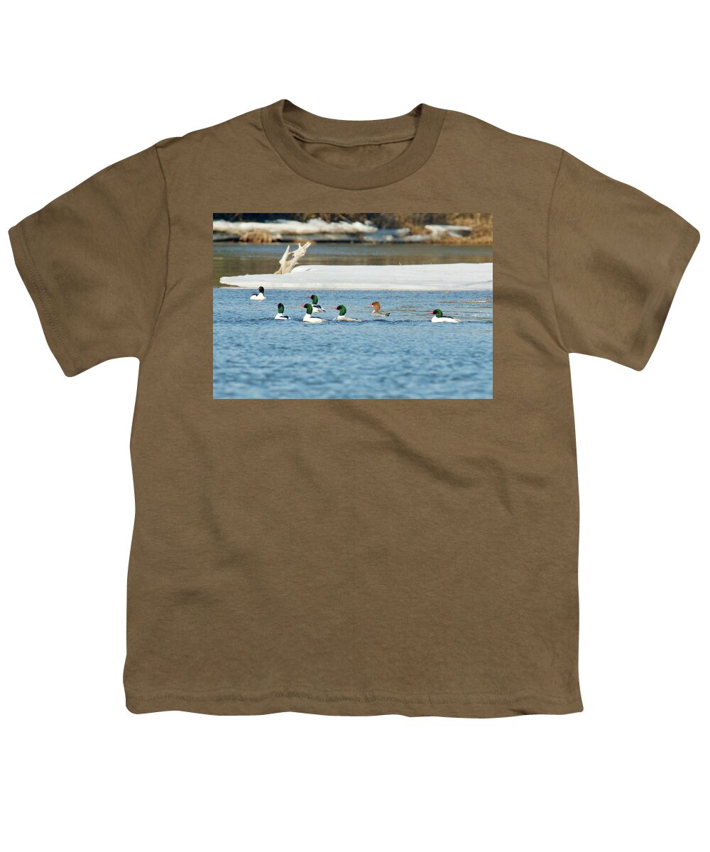 Bird Youth T-Shirt featuring the photograph Common Merganser 9102 by Michael Peychich