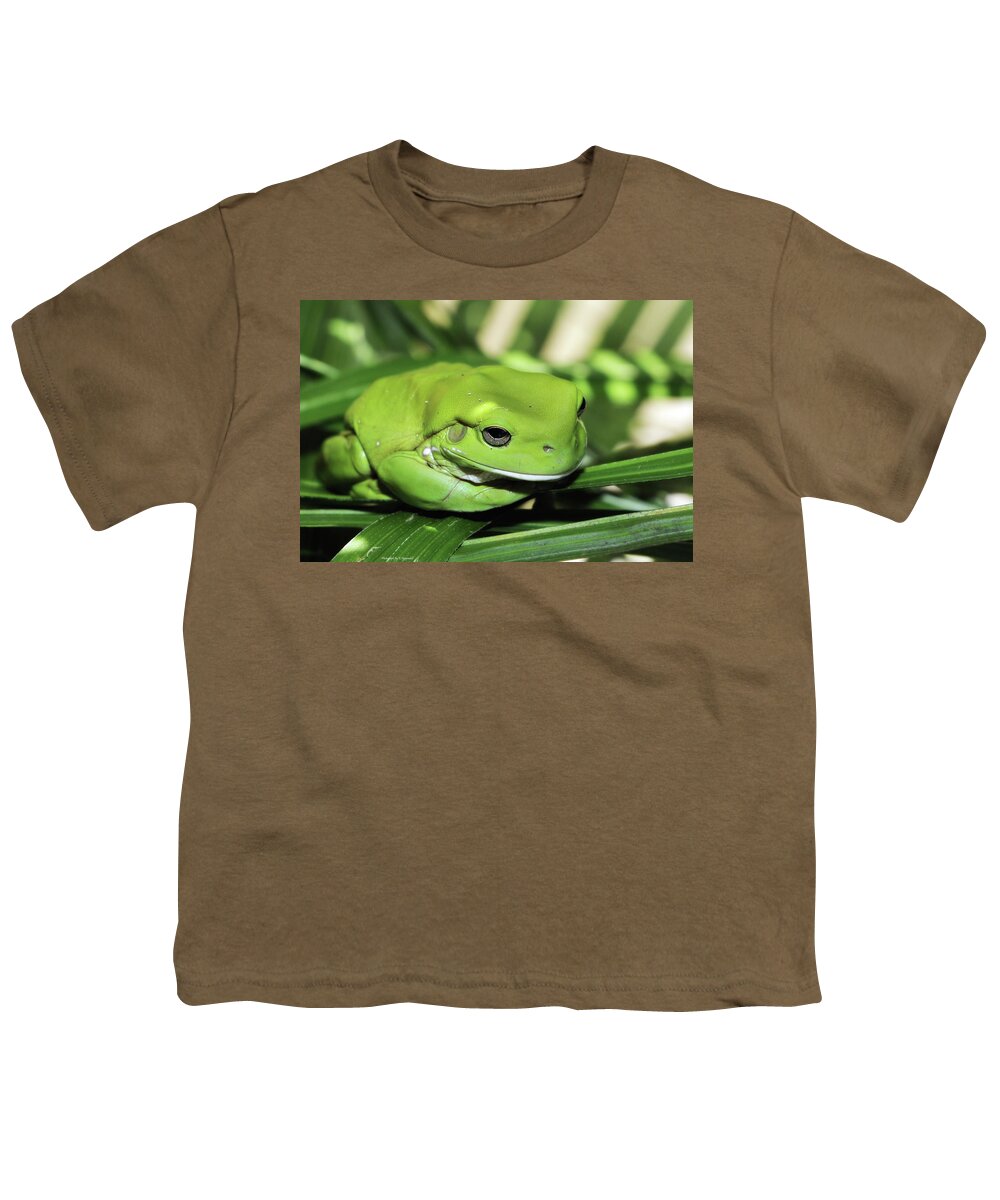 Green Frog Photography Youth T-Shirt featuring the photograph Cool green frog 001 by Kevin Chippindall