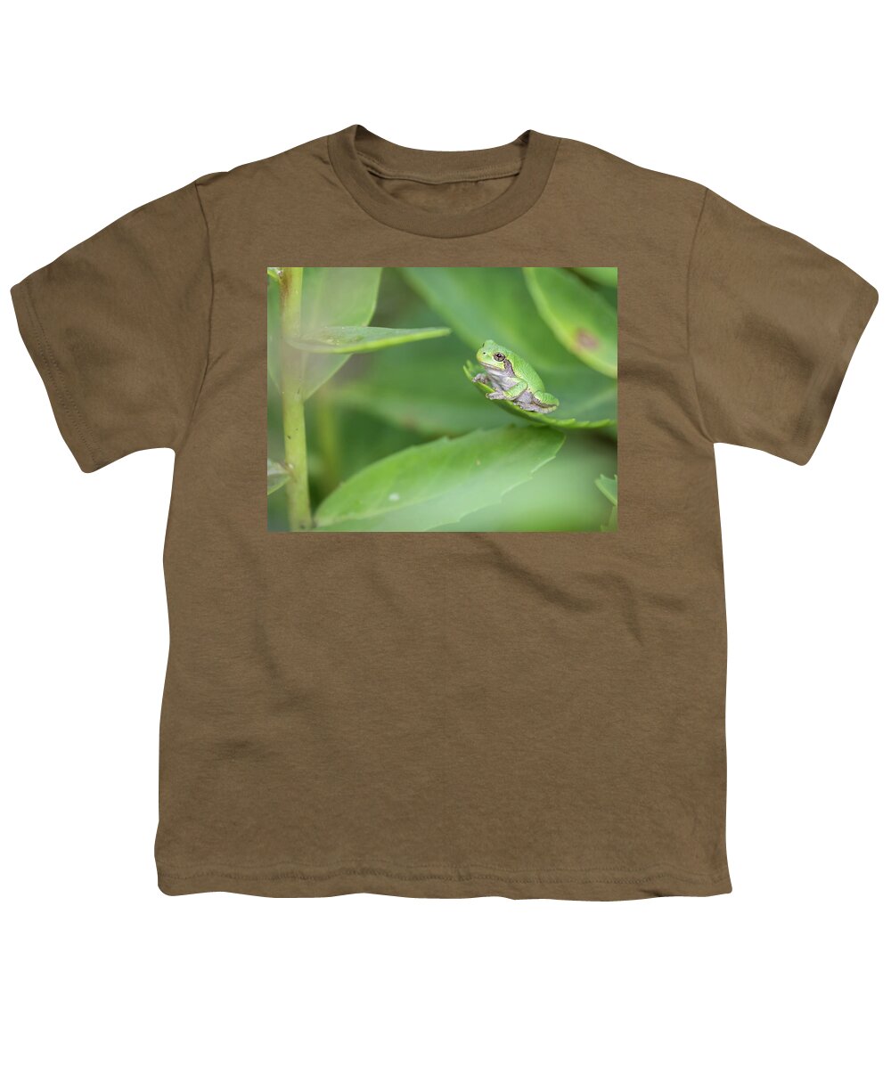 Cope's Gray Tree Frog Youth T-Shirt featuring the photograph Cope's Gray Tree Frog 2017-2 by Thomas Young
