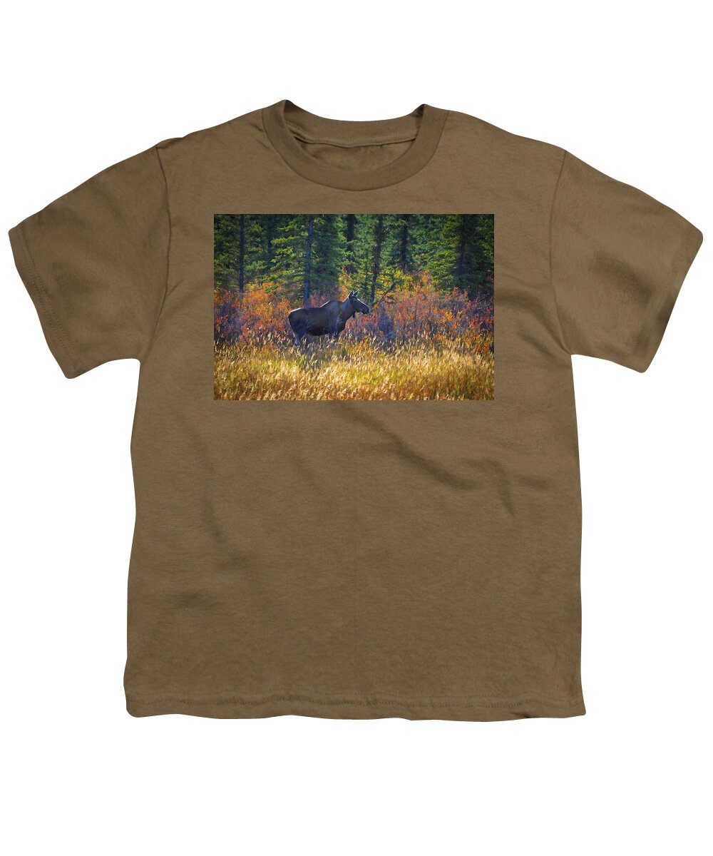 Moose Youth T-Shirt featuring the photograph Cow Moose in Fall Dreamy by Cathy Mahnke