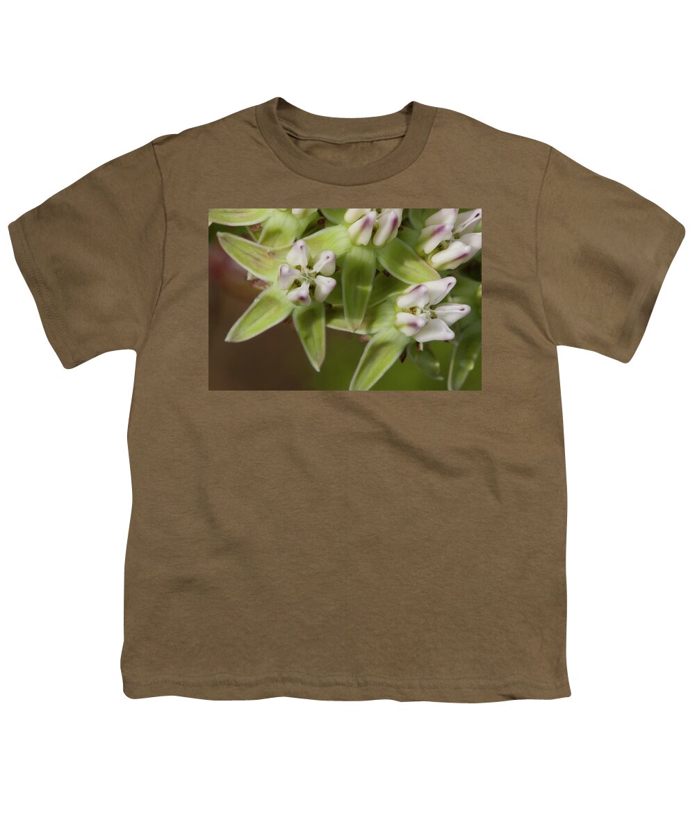 Milkweed Youth T-Shirt featuring the photograph Curtiss' Milkweed #4 by Paul Rebmann