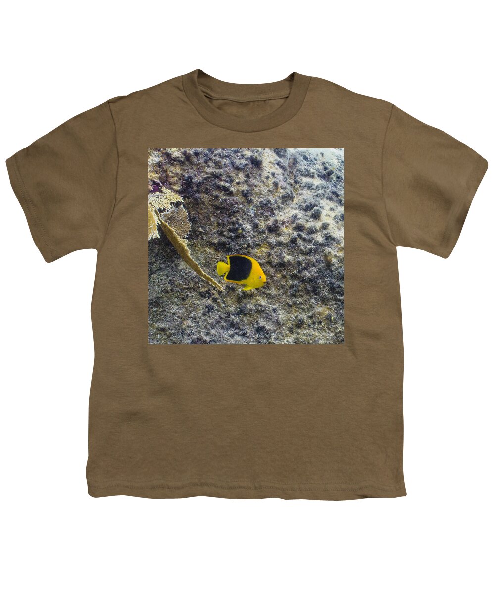 Ocean Youth T-Shirt featuring the photograph Cutie Beauty by Lynne Browne